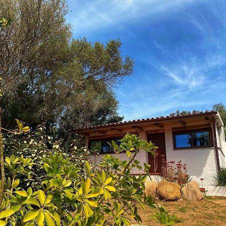 Вилла Casa Saltara (Adults Only) Санта-Тереза-Галлура Экстерьер фото