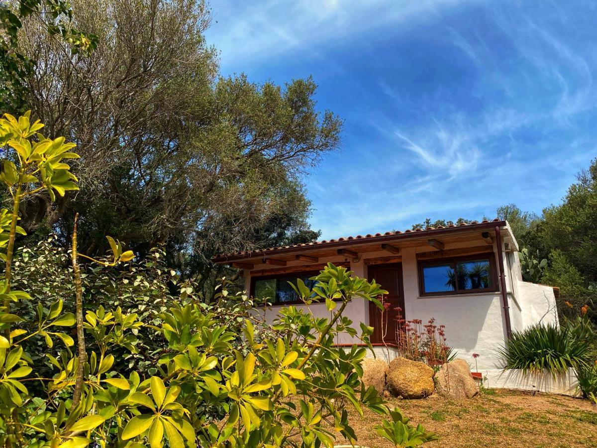 Вилла Casa Saltara (Adults Only) Санта-Тереза-Галлура Экстерьер фото