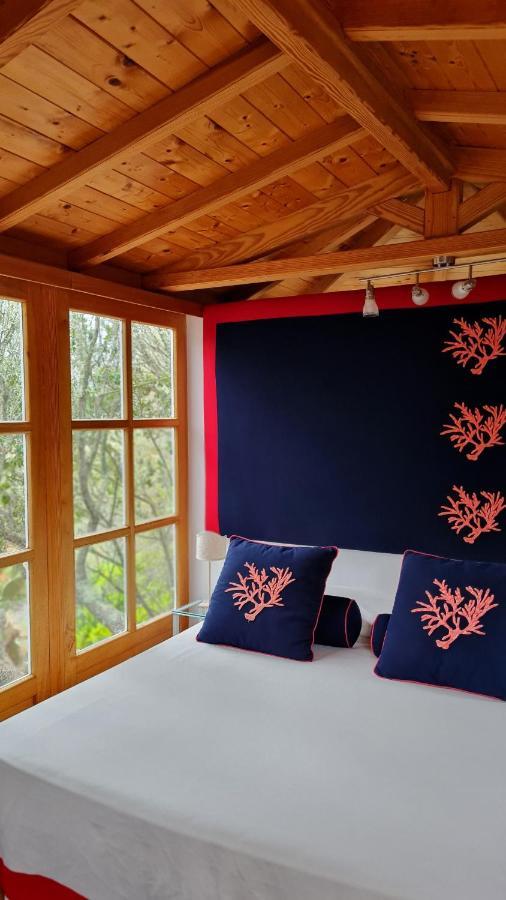 Вилла Casa Saltara (Adults Only) Санта-Тереза-Галлура Экстерьер фото