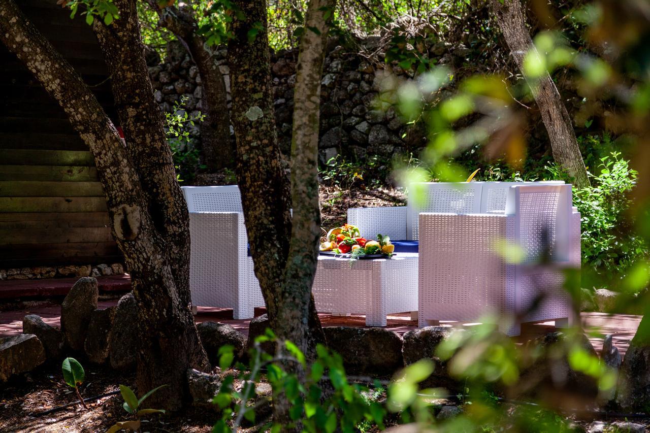 Вилла Casa Saltara (Adults Only) Санта-Тереза-Галлура Экстерьер фото
